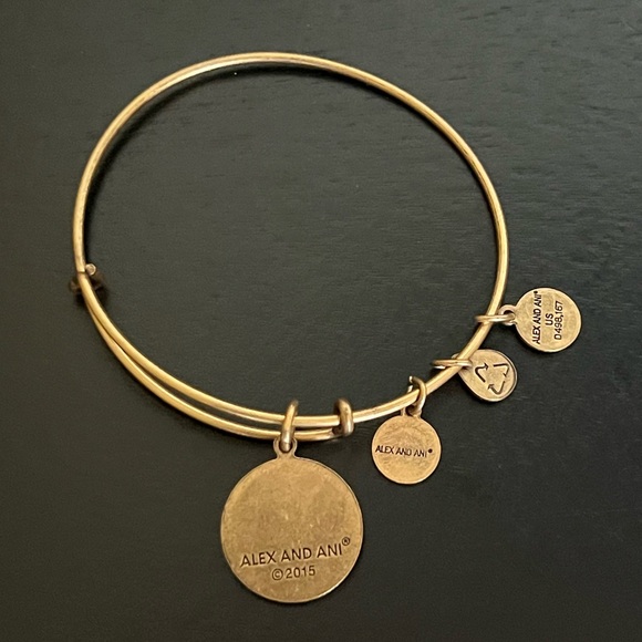 Alex and Ani Gold Charm Bracelet with Expandable Design - Picture 4 of 6